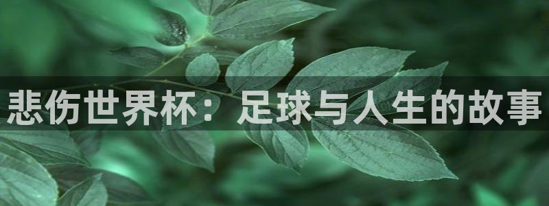 2026年世界杯赛程：悲伤世界杯：足球与人生的故事