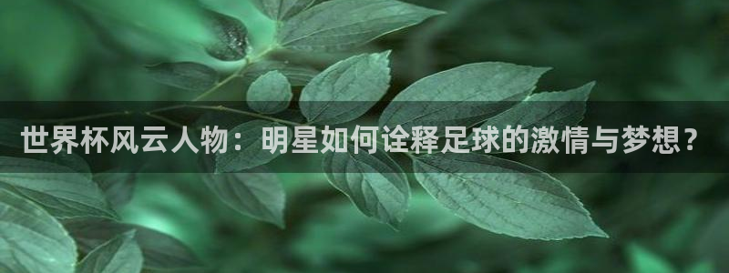 2026世预赛全部赛程：世界杯风云人物：明星如何诠释足球的激情与梦想？