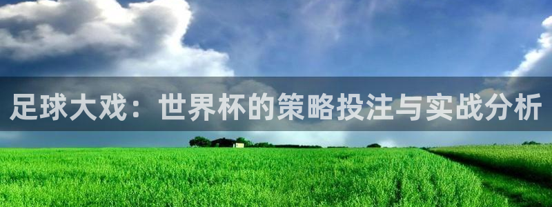2026年世界杯赛程：足球大戏：世界杯的策略投注与实战分析