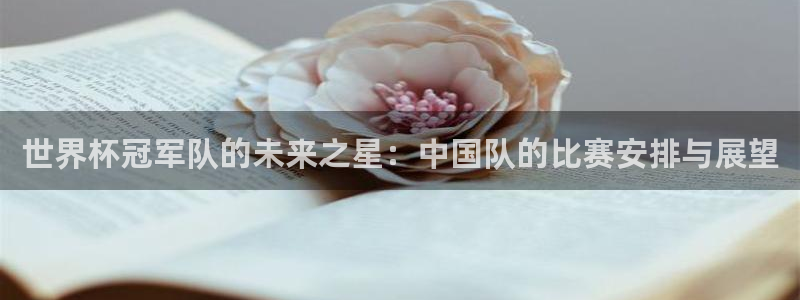 2026世界杯预选赛：世界杯冠军队的未来之星：中国队的比赛安排与展望