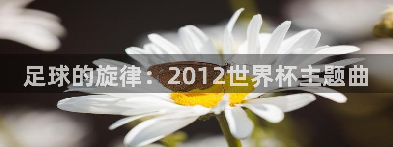 2026男足世界杯赛程：足球的旋律：2012世界杯主题曲