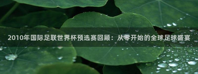 世界杯球队：2010年国际足联世界杯预选赛回顾：从零开始的全球足球盛宴