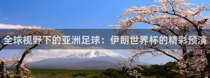 看世界杯:全球视野下的亚洲足球:伊朗世界杯的精彩预演