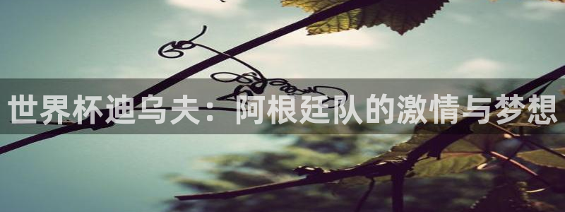 世界杯直播:世界杯迪乌夫:阿根廷队的激情与梦想