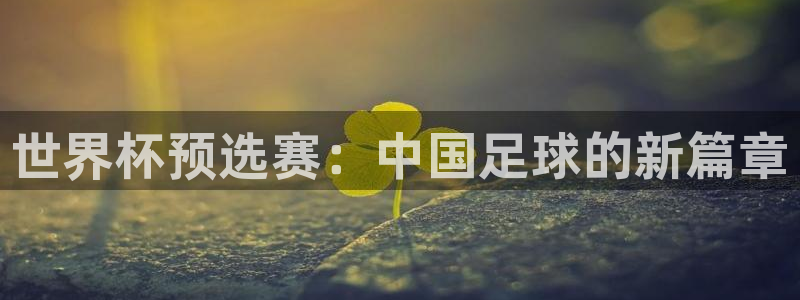 2026世界杯赛程表完整版:世界杯预选赛:中国足球的新篇章