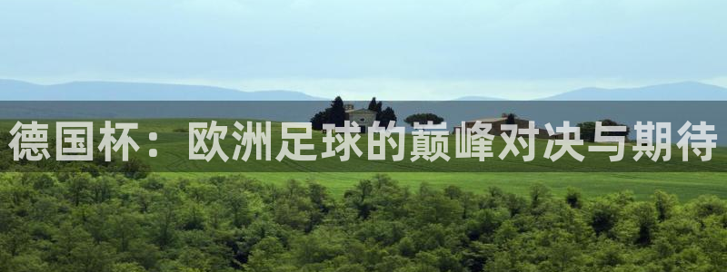 世界杯预选赛赛程:德国杯:欧洲足球的巅峰对决与期待
