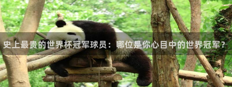 2026世界杯赛:史上最贵的世界杯冠军球员:哪位是你心目中的世界冠军?