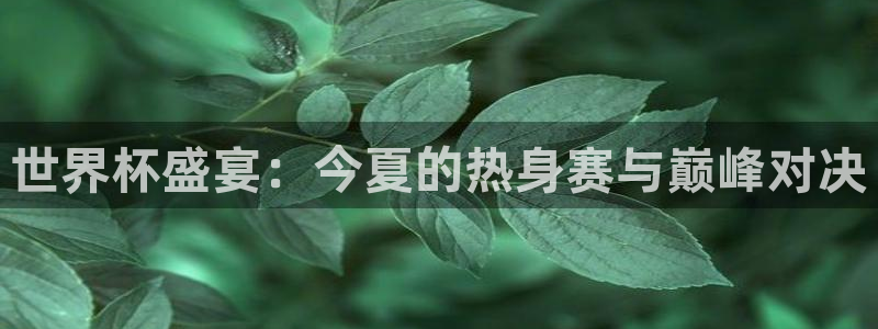 世界杯今日赛程直播:世界杯盛宴:今夏的热身赛与巅峰对决
