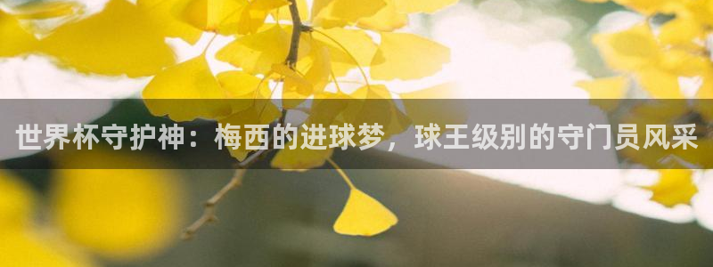 世界杯48支球队赛制:世界杯守护神:梅西的进球梦,球王级别的守门员风采