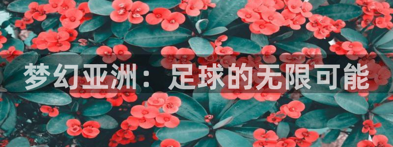 世界杯2026赛制:梦幻亚洲:足球的无限可能