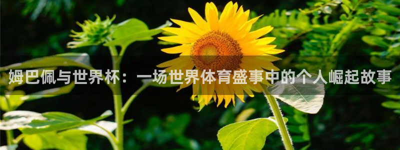 世界杯 中国:姆巴佩与世界杯:一场世界体育盛事中的个人崛起故事